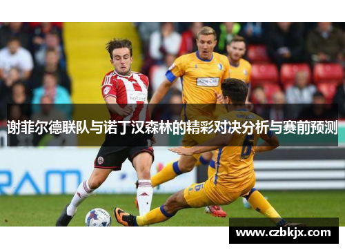 谢菲尔德联队与诺丁汉森林的精彩对决分析与赛前预测